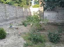9 sot torpaq sahəsi, Mingəçevir ş.