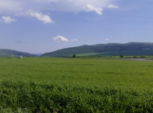 24 sot torpaq sahəsi, Oğuz r.