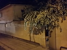 Həyət evi, Lənkəran ş.