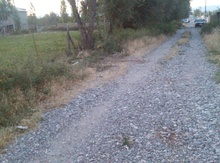 10 sot torpaq sahəsi, Naxçıvan ş.