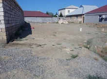 5 sot torpaq sahəsi, Saray qəs.