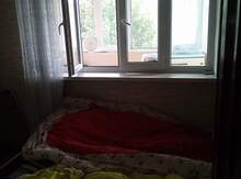 2-otaqlı mənzil kirayə verilir, Gəncə ş., 50 m²