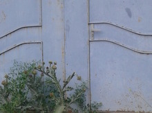 Həyət evi, Gəncə ş.
