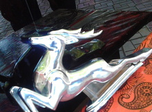 "Qaz 21" emblemi