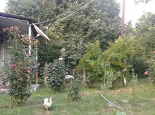 Həyət evi, Göyçay r.