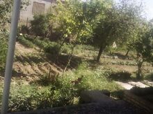 3 sot torpaq sahəsi, Naxçıvan ş.