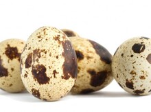 Bildirçin yumurtası