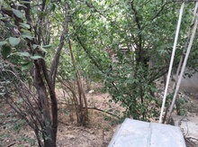 Həyət evi, Gəncə ş.