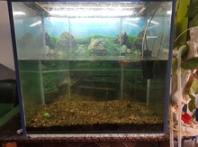 Akvarium