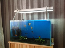 Akvarium