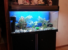 Akvarium