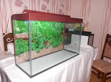 Akvarium