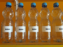 Gülab