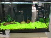 Akvarium
