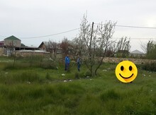 6 sot torpaq sahəsi, Xəzər bağları