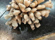 Akvarium aksesuarları
