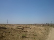 300 sot torpaq sahəsi, Bilgəh qəs.