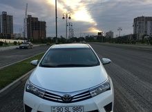 Toyota Corolla, 2013 il