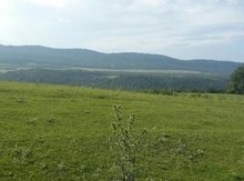 80 sot torpaq sahəsi, Quba r.