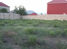 10 sot torpaq sahəsi, Məhəmmədi qəs.