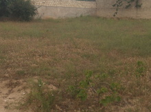 8 sot torpaq sahəsi, Maştağa qəs.