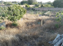 22 sot torpaq sahəsi, Albalı qəs.