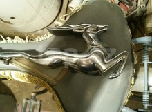 "Maral" emblemi
