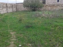 17 sot torpaq sahəsi, Gəncə ş.