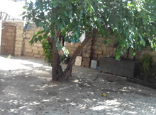 1 sot torpaq sahəsi, Suraxanı r.
