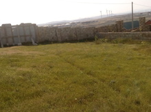 2 sot torpaq sahəsi, At yalı qəs.