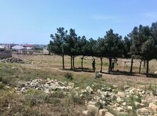 17 sot torpaq sahəsi, Sabunçu r.