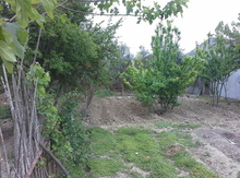 7 sot torpaq sahəsi, Ramana qəs.