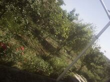 3 sot torpaq sahəsi, Naxçivan şəh.