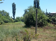 30 sot torpaq sahəsi, Masallı r.