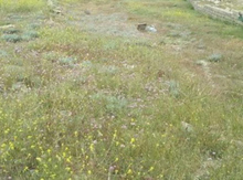 60 sot torpaq sahəsi, Qusar r.