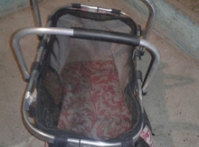 Pişik yuvası