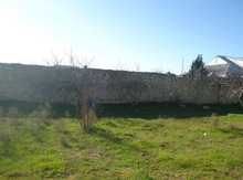2 sot torpaq sahəsi, Zağulba qəs.