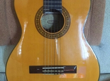 Gitara "Washburn C40"