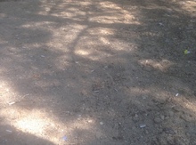 2 sot torpaq sahəsi, Məhəmmədi qəs.