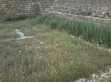 3 sot torpaq sahəsi, Hökməli qəs.