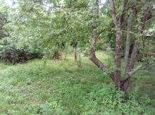 12 sot torpaq sahəsi, Qusar r.