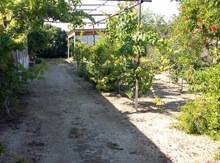 Həyət evi, Sabunçu r.