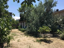 Bağ evi kirayə verilir, Bilgəh qəs.
