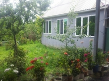 Bağ evi kirayə verilir, Qəbələ r.
