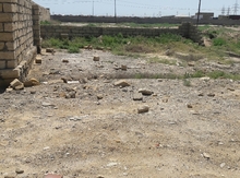 3 sot torpaq sahəsi, Sumqayıt ş.