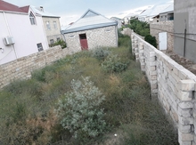 5 sot torpaq sahəsi, Saray qəs.