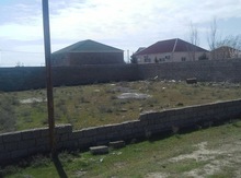 6 sot torpaq sahəsi, Türkan qəs.
