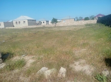 9 sot torpaq sahəsi, Binə qəs.