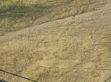 4 sot torpaq sahəsi, Gəncə ş.