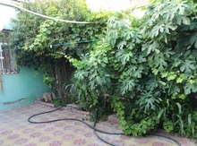 Həyət evi, Binə qəs.